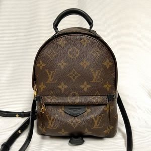 ‼️SOLD‼️Louis Vuitton Palm Springs Mini - LOW PRICE!